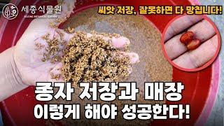 농부들의 비밀? 종자 저장과 매장, 이렇게 해야 성공한다! #종자 #씨앗 #농업 #귀농 #세종식물원