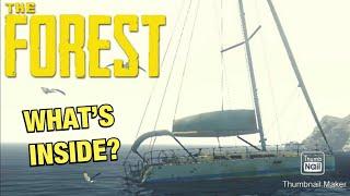 What’s Inside The Yacht Door? The Forest
