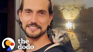 Orphaned Baby Opossum Snuggles In Her New Dad's Hoodie | The Dodo