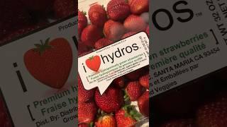 Hydroponic Strawberries. Is it good? Costco • Please SUBSCRIBE #shorts