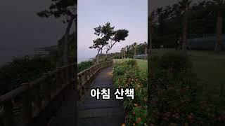 제주 파르나스호텔