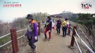 봄꽃 끝판왕! 날보러와요~ 제 9회 고려산 진달래축제로 GO! GO!