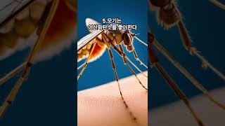 신기한 사실 10가지. #쇼츠 #신기한 #재미있는 #정보 #사실 #동물