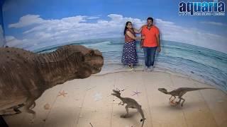 3D Illusion Show In Kuala Lumpur Aquaria, Malaysia