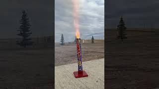 The most famous firework! Childhood favorite. #Shorts #Fireworks
