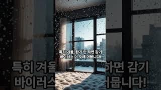 하루 한 번 창문 여는 습관, 면역력 살립니다