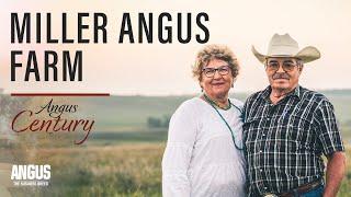 Miller Angus Farm | Angus Century (2023)