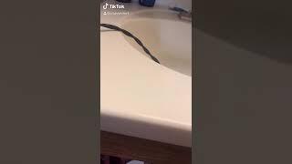 Best TikToK yet #funny