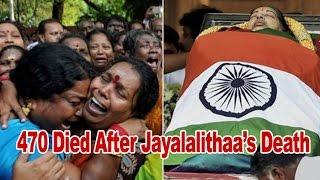 470 died of shock after Jayalalithaa’s death  AIADMK : NewspointTv