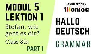 Stefan , wie geht es dir? class 8 - Module 5 lesson 1 | learn german in hindi | 9999376799
