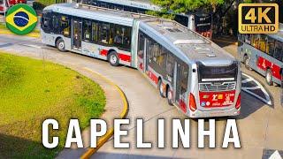 Sao Paulo, Brazil - Buses at Capelinha Bus Station