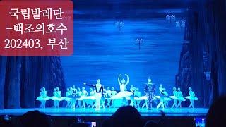 20240316토, 국립발레단-백조의호수(커튼콜), 부산시민회관대극장