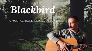 Blackbird // Beatles Cover by Mustachioed Musician // Relaxing Music