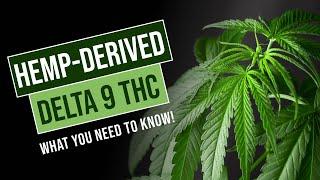 Hemp Derived Delta 9 THC - What You Need To Know 