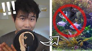 STOP GETTING THESE FISH! | Fish Tank Review 149