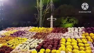 Flowers Exhibition 2024(part 2) in Jalani Park Lahore