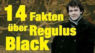 14 FAKTEN über Regulus BLACK