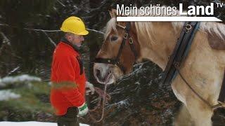 Jahresbeginn im Osnabrücker Land - die schönsten Höfe Norddeutschlands (NDR)