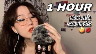 1 HOUR OF PURE MOUTH SOUNDS wet & dry, trigger words, spit painting [ASMR compilation]