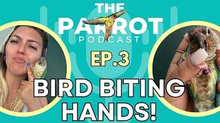 ️Parrot Finger Hand Biting | What to do if my bird is biting my hands? | The Parrot Podcast #3