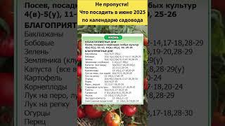 Секреты июня: лучшие дни для посева по лунному календарю! #садоводство #лунныйкалендарь #огород