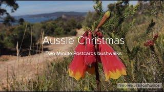 Bouddi National Park: Flannel Flower Walking Track