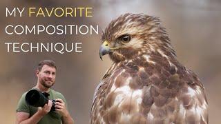 How to Take Better Wildlife Photos with P.I.E.