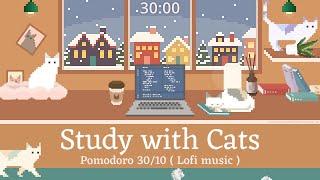 Study with Cats  Pomodoro Timer 30/10 x Animation | Snowy day study vibes: Warm room, Cats & Lofi