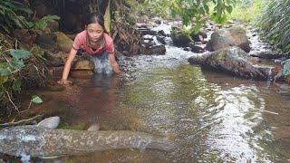 Poor girl. Harvesting banana and fish goes to the village sell - Green forest life