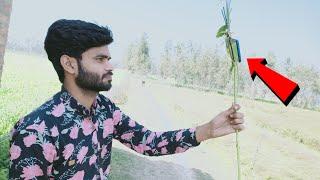 my first vlog || my first vlog imran k fun