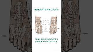 Биологически активные точки. +79370139767 #зож #апитерапия #здоровьерф #звонковамарина