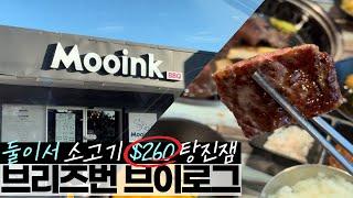 호주 브이로그 | 둘이서 소고기 먹고 $260 탕진한 썰 / 써니뱅크 MOOINK 맛있어 / 써니뱅크 ATTO 미용실 추천 / 젤라또 데이트