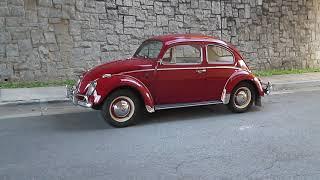 1963 Volkswagen Beetle Ruby Red for sale