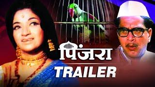 Pinjara Theatrical Trailer (HD) | Shriram Lagoo, Sandhya, Nilu Phule | Classic Marathi Movie Revived