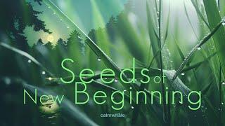 Journey to Bring Peace & Fresh Breeze ॐ  Chakapa, Udu, Rav Drum :: Seeds of New Beginning