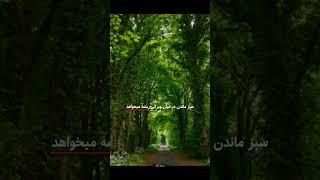 تکست ناب️              #text #عاشقانه #poetry #video #زندگی #کلیپ #love #quotes