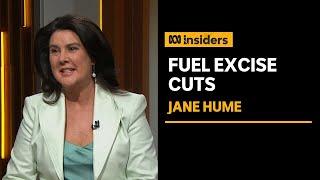 Liberal Senator on the fuel excise cut, “We don’t have policies” | Insiders | ABC News