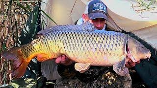 HUGE CARPLES IN THE REEDS! FISHING IN THE COLD. I CLIMBED INTO THE WILD AND FOUND INTO THE WINTER