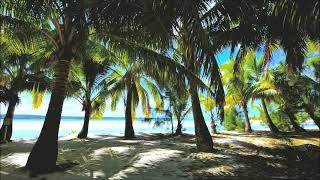 Suoni del vento e del mare -Spiaggia tropicale