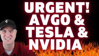  URGENT TESLA NVIDIA BROADCOM STOCK PRICE PREDICTION WITH MY BIGGEST BONUS PLAY!