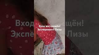 Цыплята появились из-за непослушных детей! 