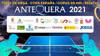 Finales Copa SSMM Los Reyes 2021 - Tenis de Mesa