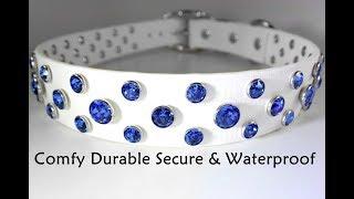 Biothane Dog Collar with Swarovski Bling