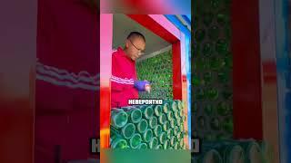 Это настоящий дом из стеклянных бутылок