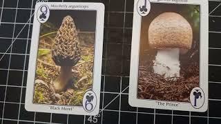 FUNGI PERFECTI -Mushroom Playing Cards