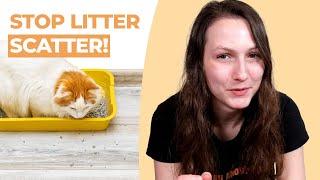Cat Litter Everywhere? How to Stop Litter Tracking & Scatter