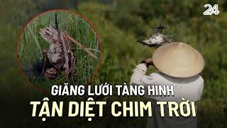 Giăng lưới tàng hình tận diệt chim trời | VTV24