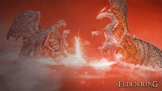 Elden Ring Dragon Vs Dragon Fight Tournament