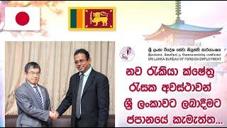 නොමිලේ විදේශ රැකියා  | Japan Job Visa | Foreign Job Visa 2025