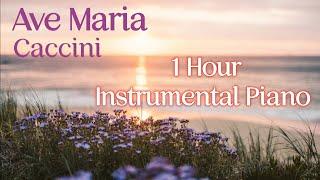 1 Hour of Ave Maria to Calm and Pacify | Caccini/Vavilov |  Instrumental Piano Music